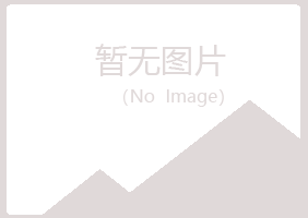 兴山区白山造纸有限公司